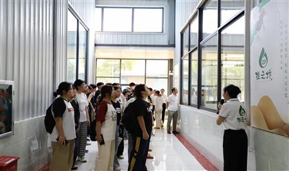 高校学子探茶油 校企联动助提升—柳州工学院学子走进三门江生态茶油公司开展企业研学活动